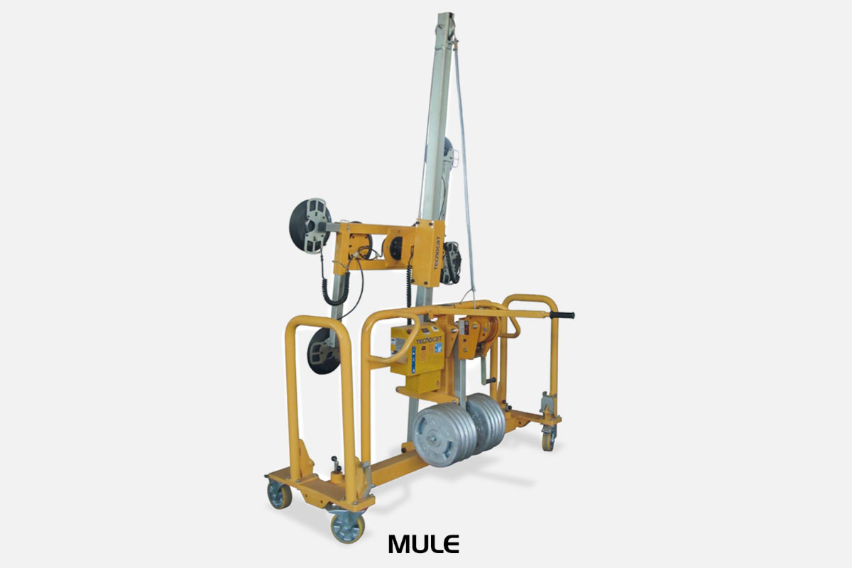 Mule